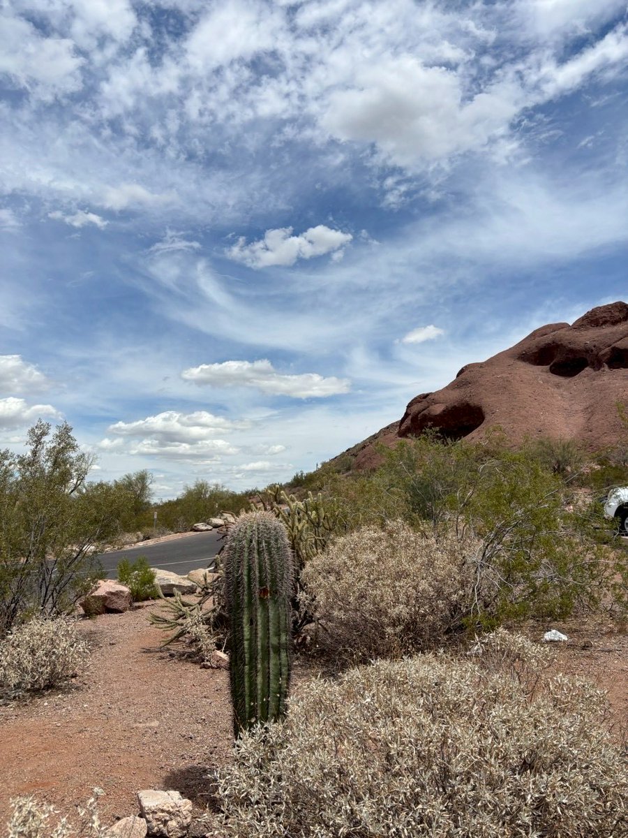 ONE OR EIGHT tweet media