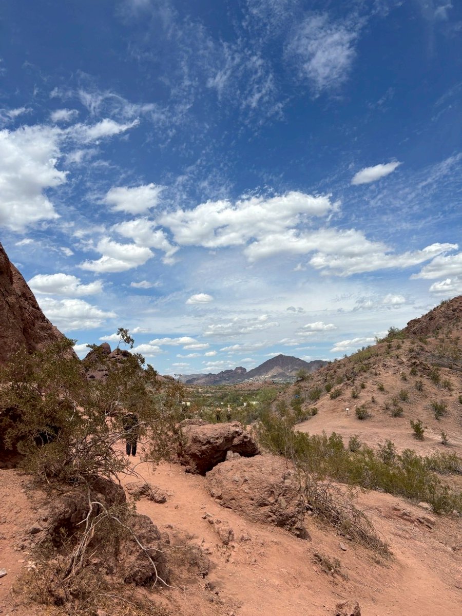 ONE OR EIGHT tweet media