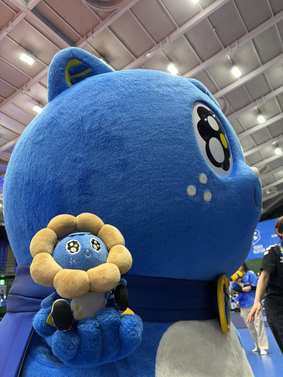 小松建太|フリーアナウンサー🗣️ナレーター🎙️ tweet media