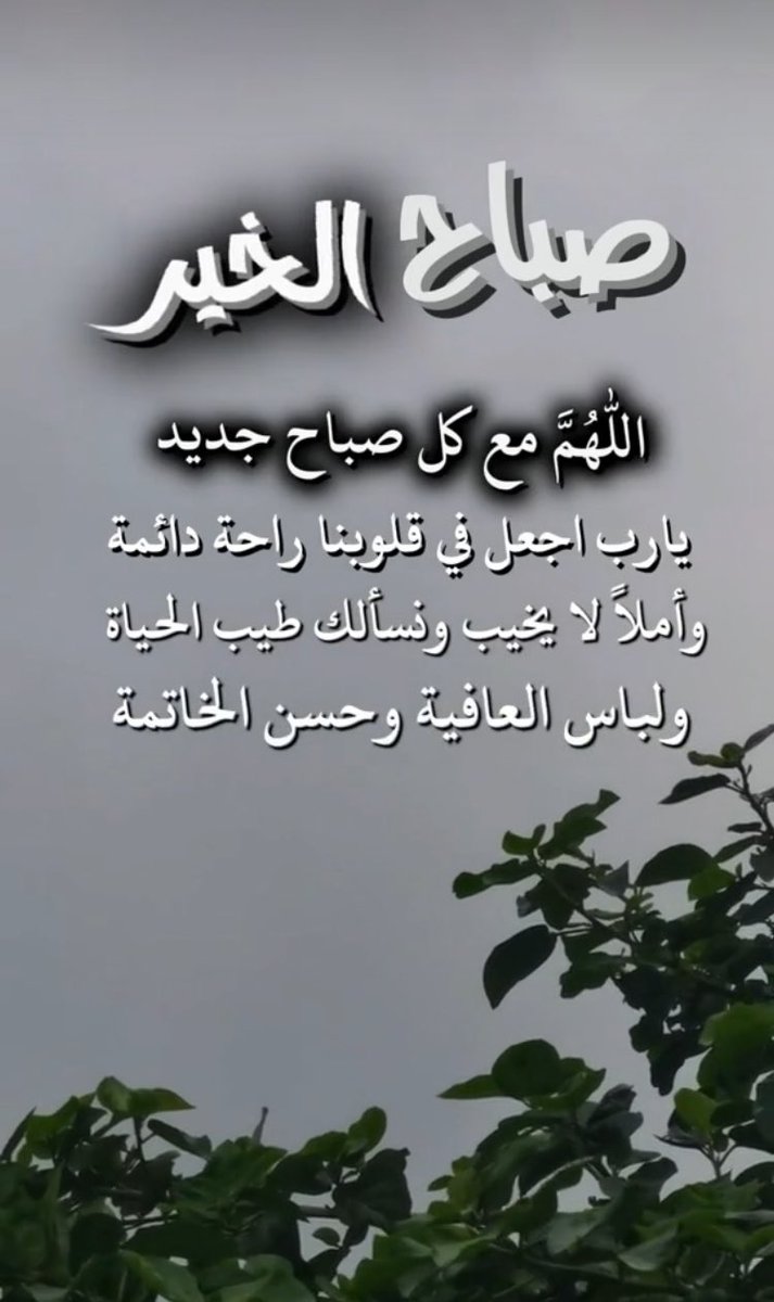 خالد بن مساعد 💙🫶🏻💙 tweet media