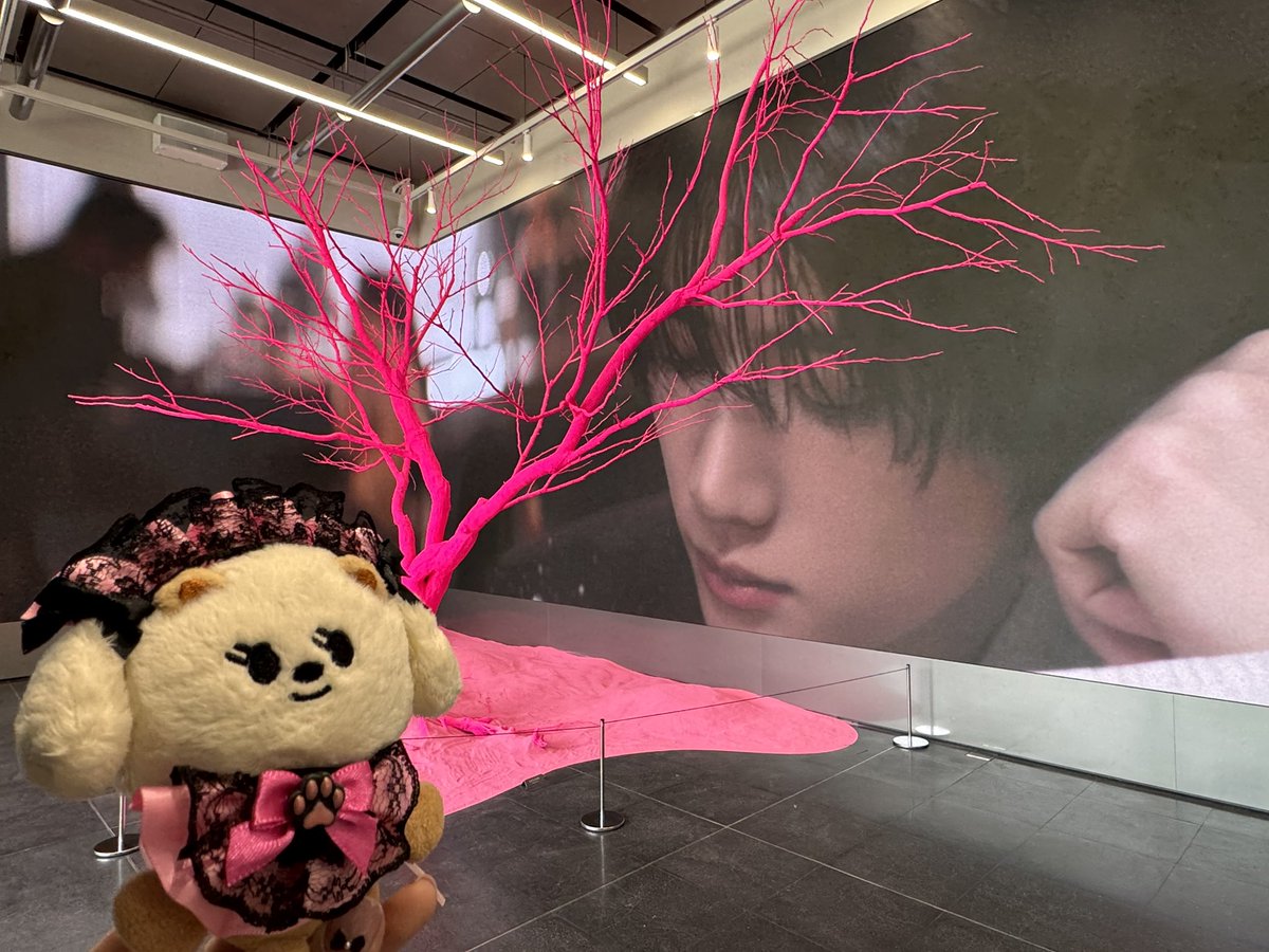 NAMI🧸🧸ྀི🍀 tweet media