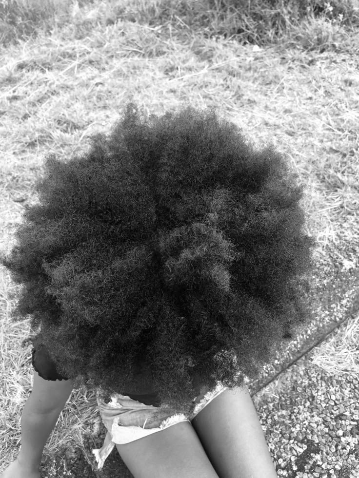 FiestaFi 🍁 tweet media