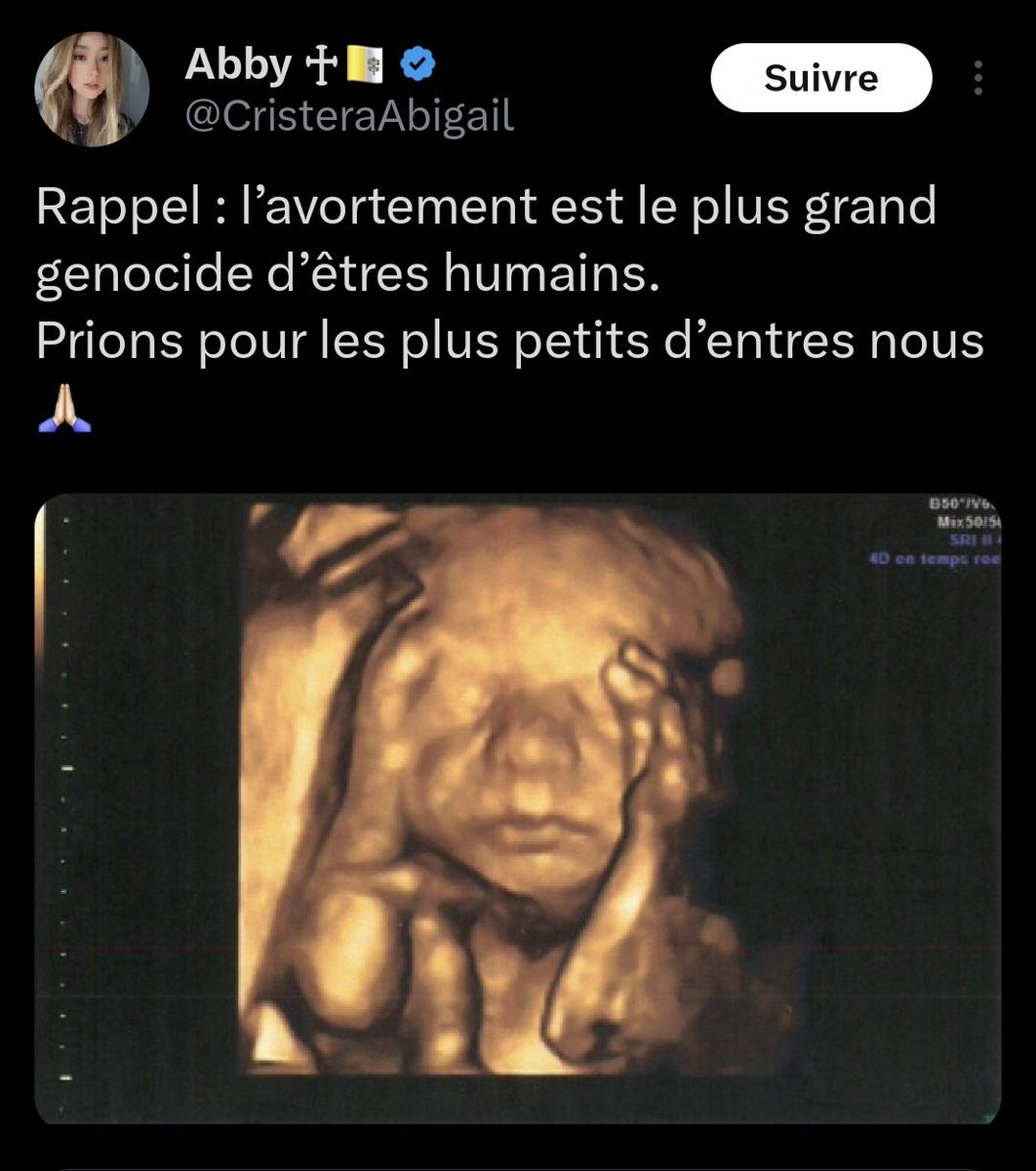 Cat, Anyways. tweet media