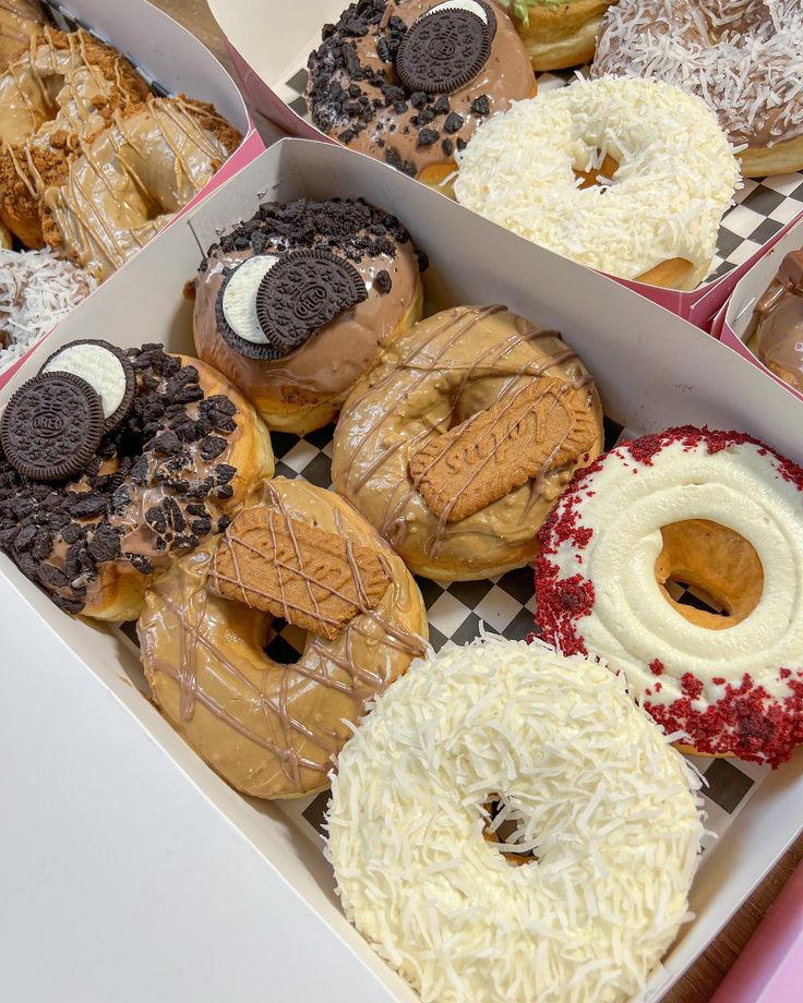 𝑰𝒗𝒊 𝟐.𝟎 / 𝑺𝒉𝒆𝒅𝒕𝒘𝒕 tweet media