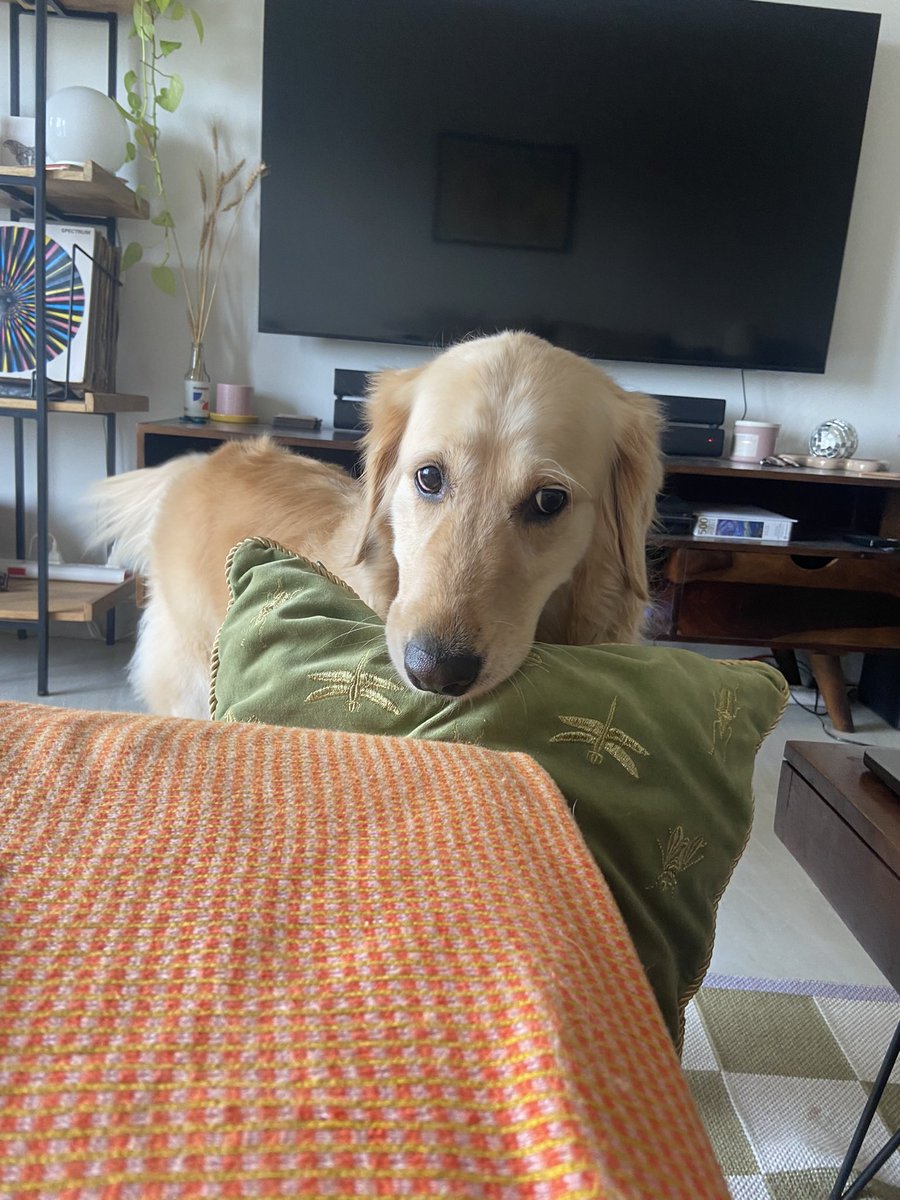 Kale me maybe 🪲🤧 tweet media