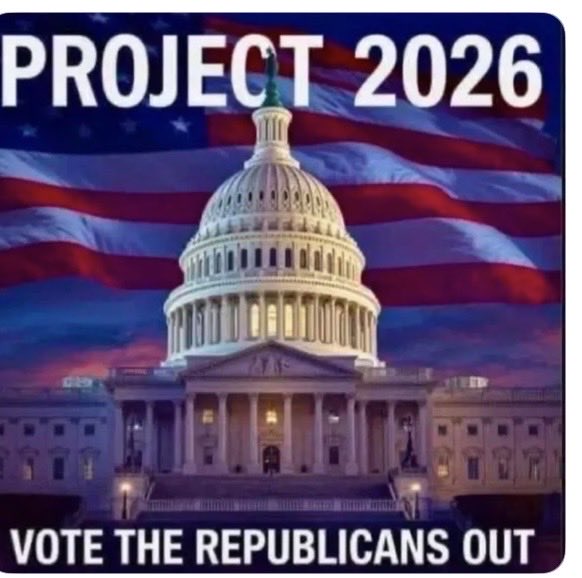 Suzie rizzio tweet media