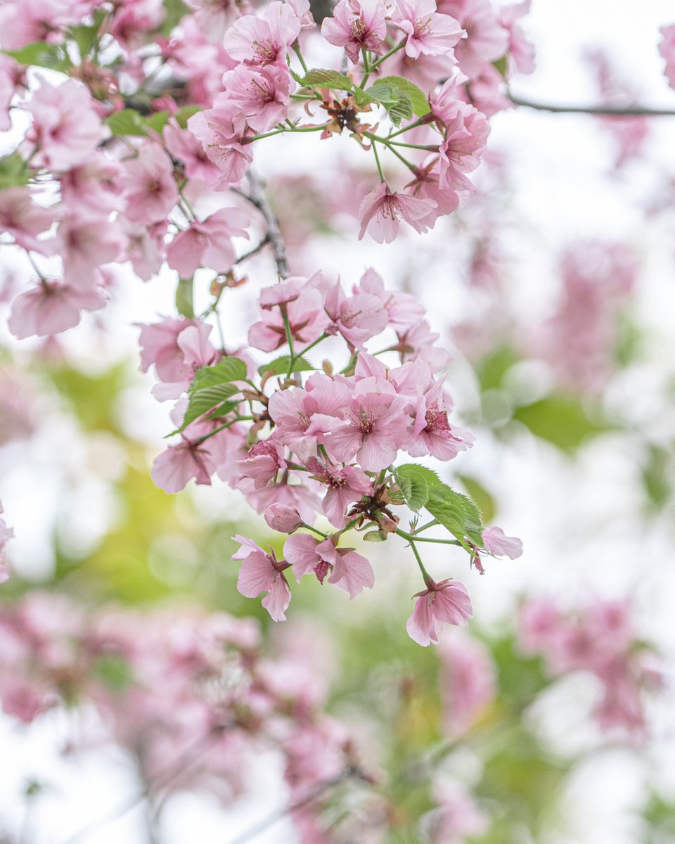 Expo2025 大阪・関西万博 tweet media