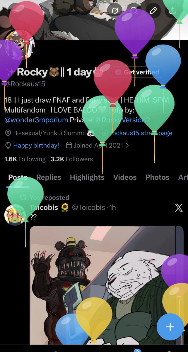 ✨Rocky🐻|| TODAY🎂 tweet media