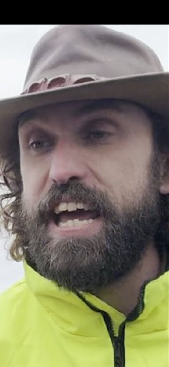 MaryannD26 tweet media