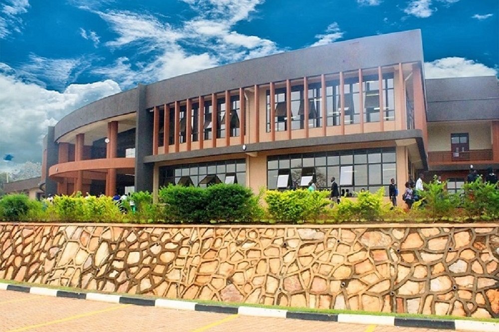 Steff Gariho tweet media