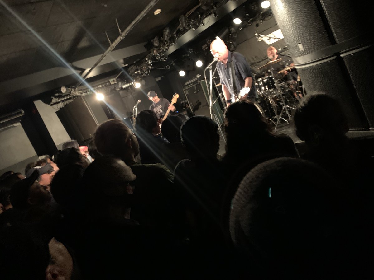 tim togawa🕊NO WAR tweet media