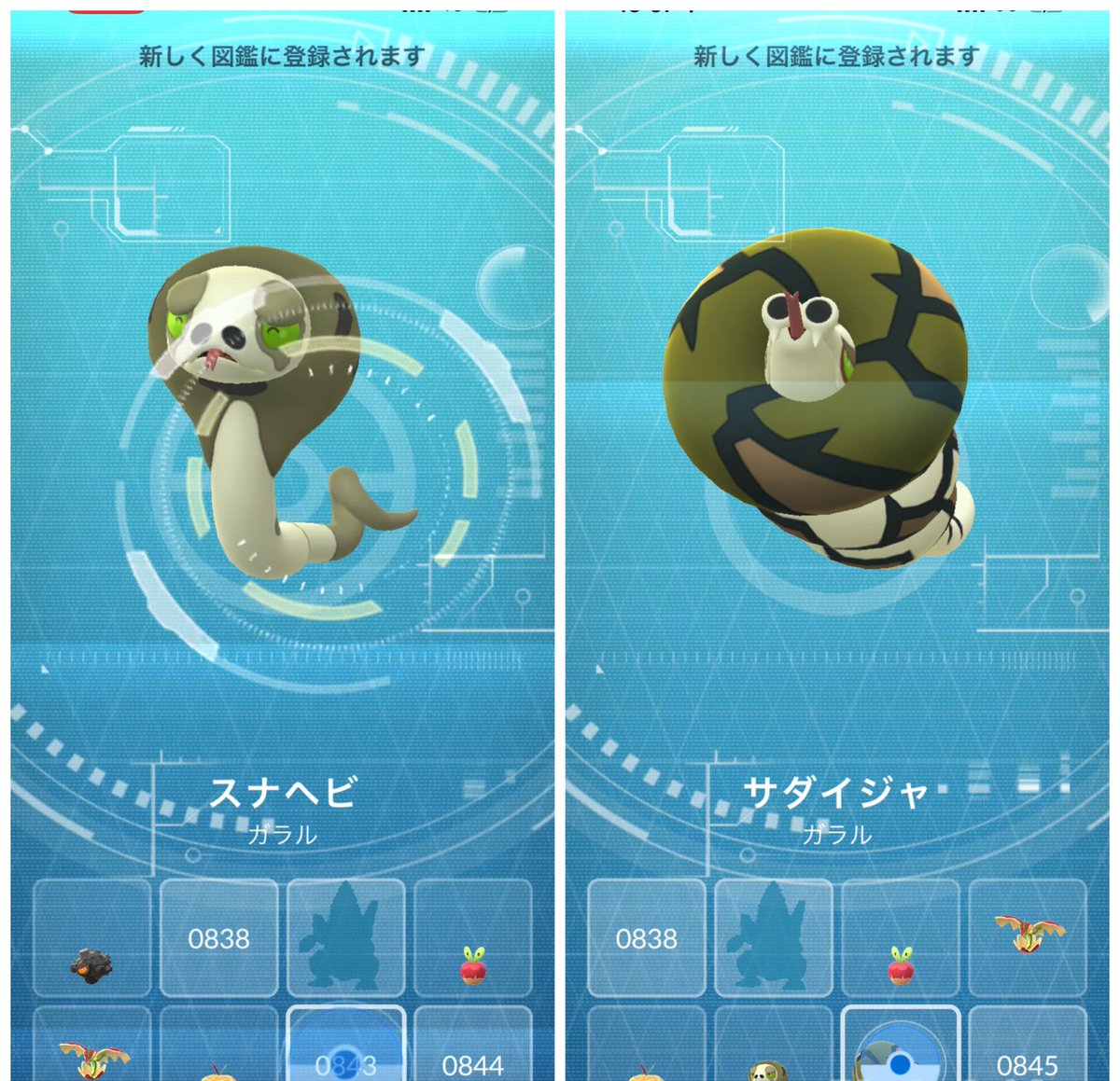 ブルーの人🐾💫🌍 tweet media