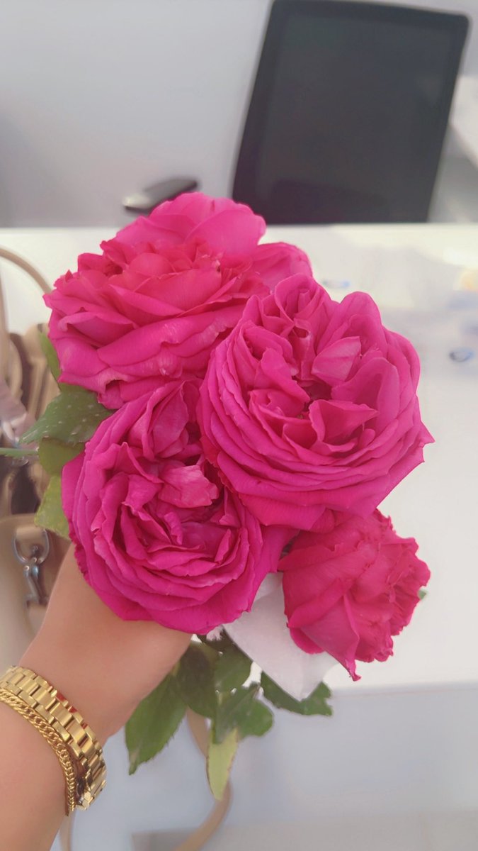 نقــــــاء العطــــــر 🎻 tweet media