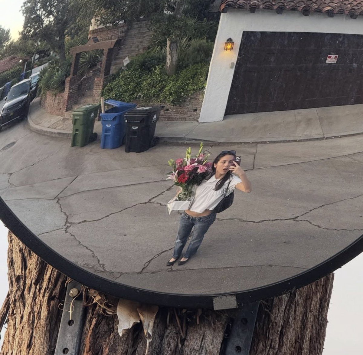 ⠀             
ㅤ     Gabriella Schneider
ㅤ     @ thornsandroses.⠀
ㅤ     🥀

ㅤ     Fresh blooms
       ──────────────────
             ⌂          ⌕          ⊞          ♡