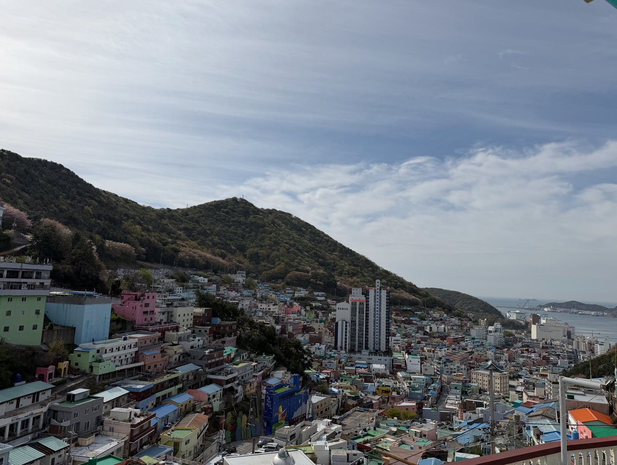 藤舎 推峰──竜馬四重奏 翠 tweet media