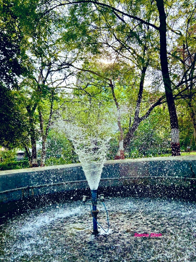 SeemaSh46712468's tweet image. हाय गर्मी…!
उफ़ गर्मी…!😓🤯
This circular motion of water in fountain feels me little chilly in this hot weather ..may be crossing 41 degrees 
Have Joyful day ahead 😍🙌🏻💐🙋‍♀️
#Ahmedabad 
#Gujarat #theme_pic_India_fountain #Sclick  #Sऊवाच😍