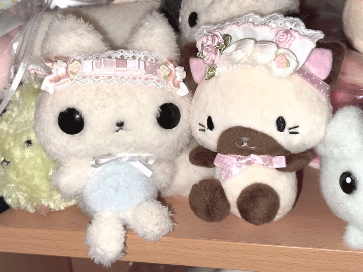 aoinumachi's tweet photo. 🎀 https://t.co/mtAYxT8wy7