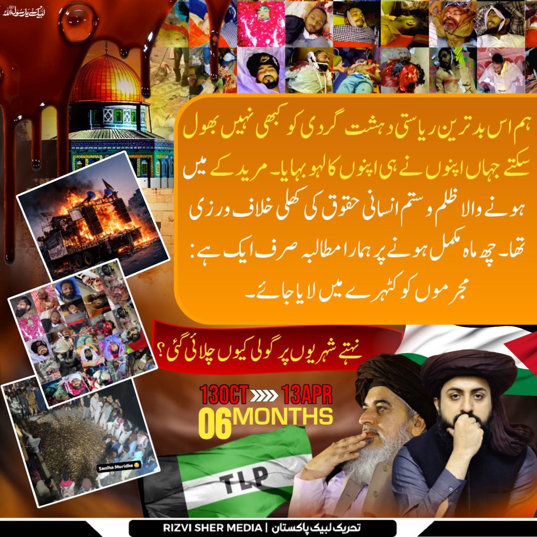 RIZVI SHER MEDIA OFFICIAL tweet media