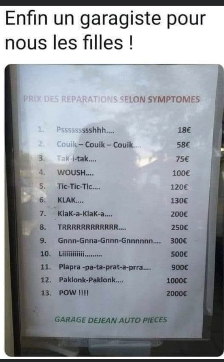 Elisabeth Bonnefond🐶🕊️🐰🐝 tweet media