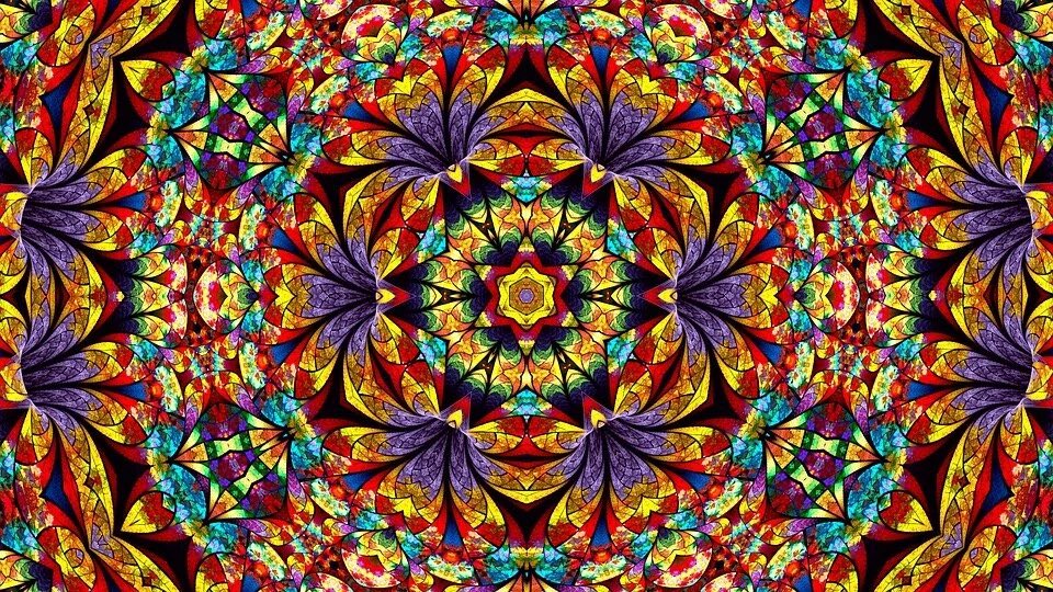 bonita lo thee oracle tweet media