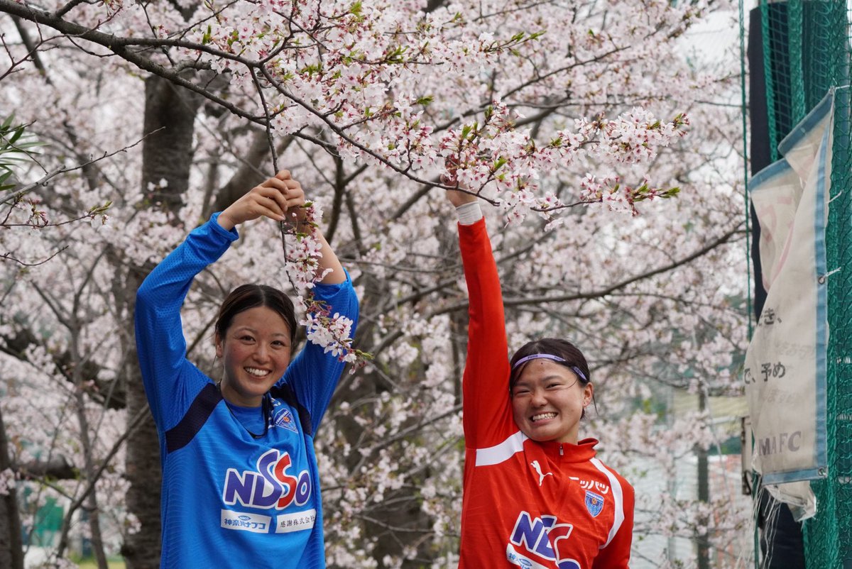 yfcseagulls's tweet image. 4月・5月の練習公開日について

✅4月の公開日
実施日はございません

✅5月の公開日
🗓️5月5日（火・祝）
練習見学：8:00～9:30
ファンサービス：9:30～10:00

詳細はこちら👇
seagulls.yokohamafc-sc.com/news/0414_tr/

#yfcseagulls #yokohamafc