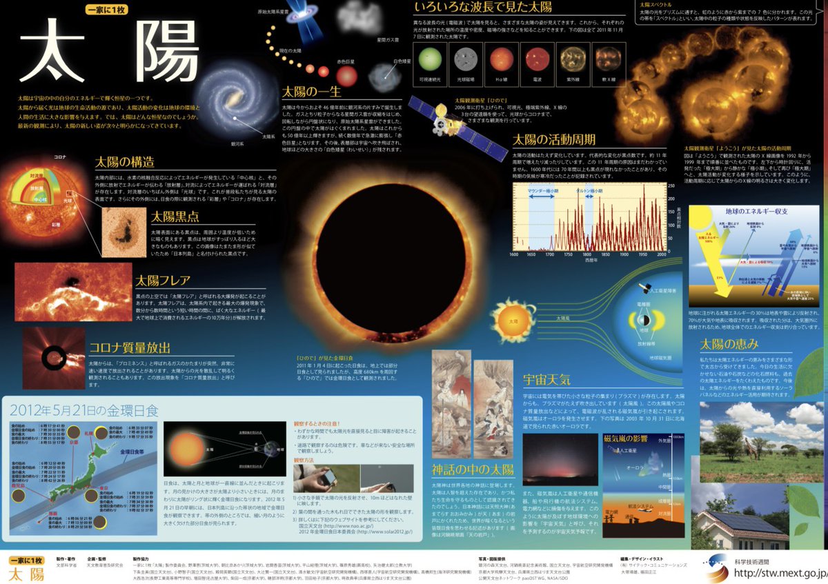 ダー子 tweet media