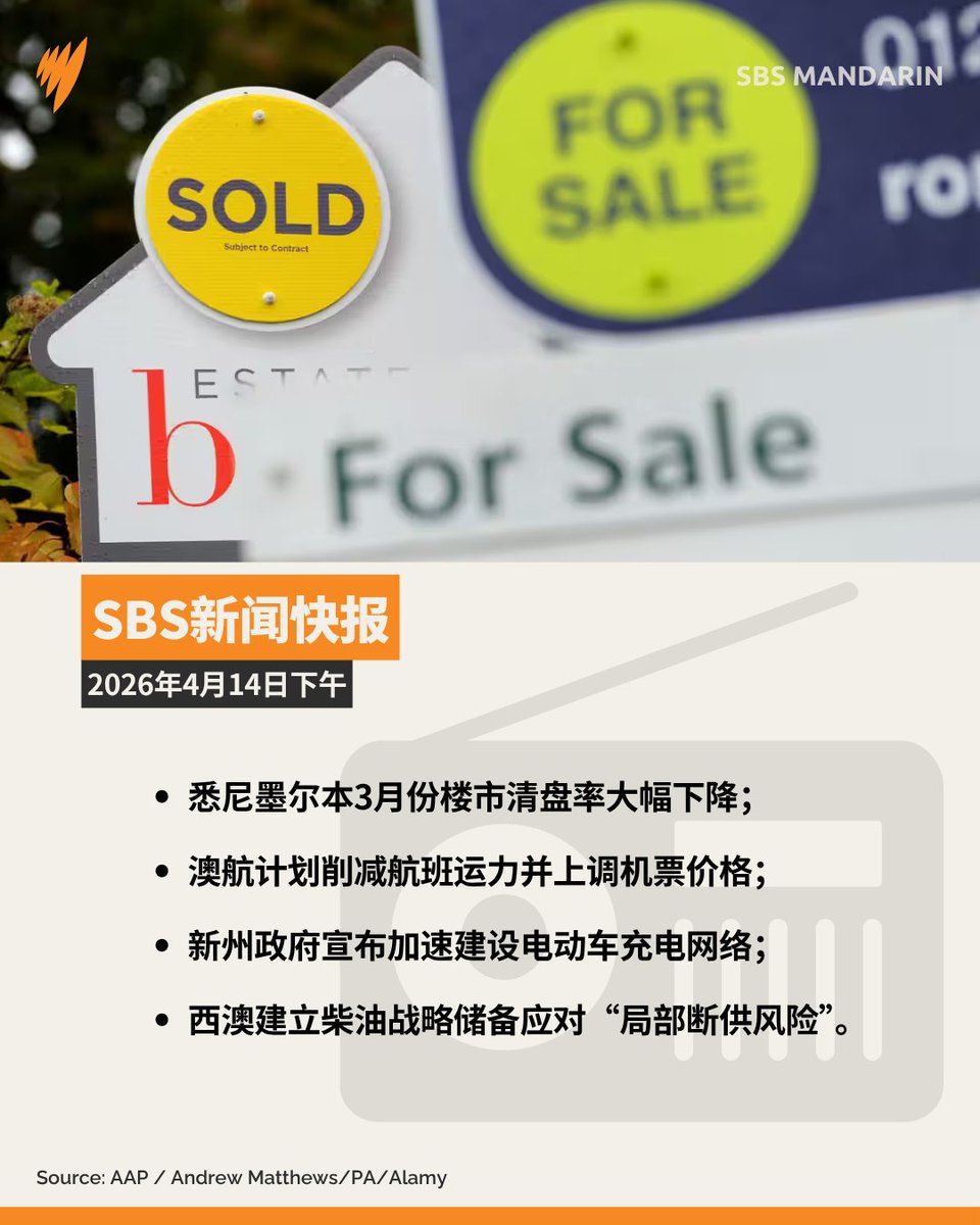 SBS中文 tweet media
