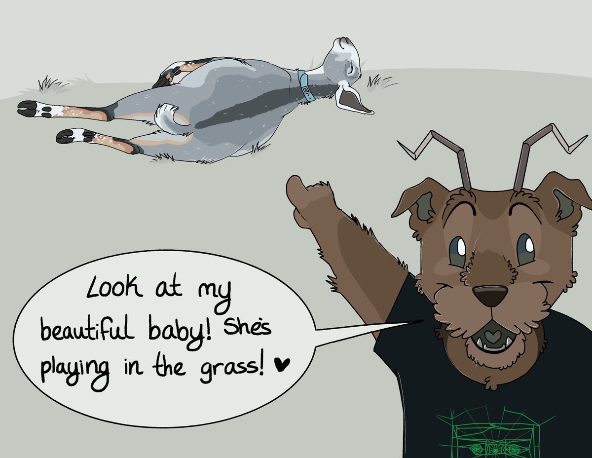 Lamb / Airy 🐑🪶🔜 TFF tweet media