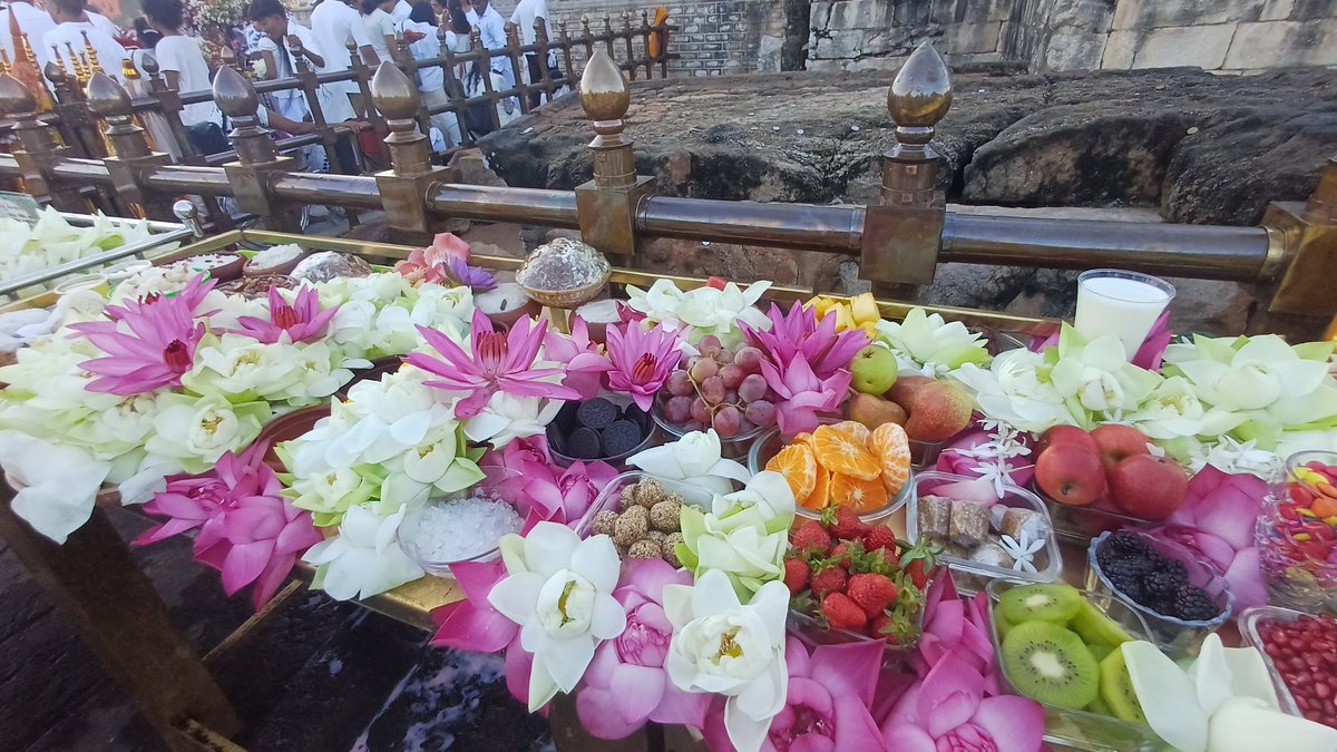 ashanthi_w's tweet image. සැනසුම පිරි වසරක් 🙏💐❤

#newyear #everyone #newyear #highlight #viral #buddhist