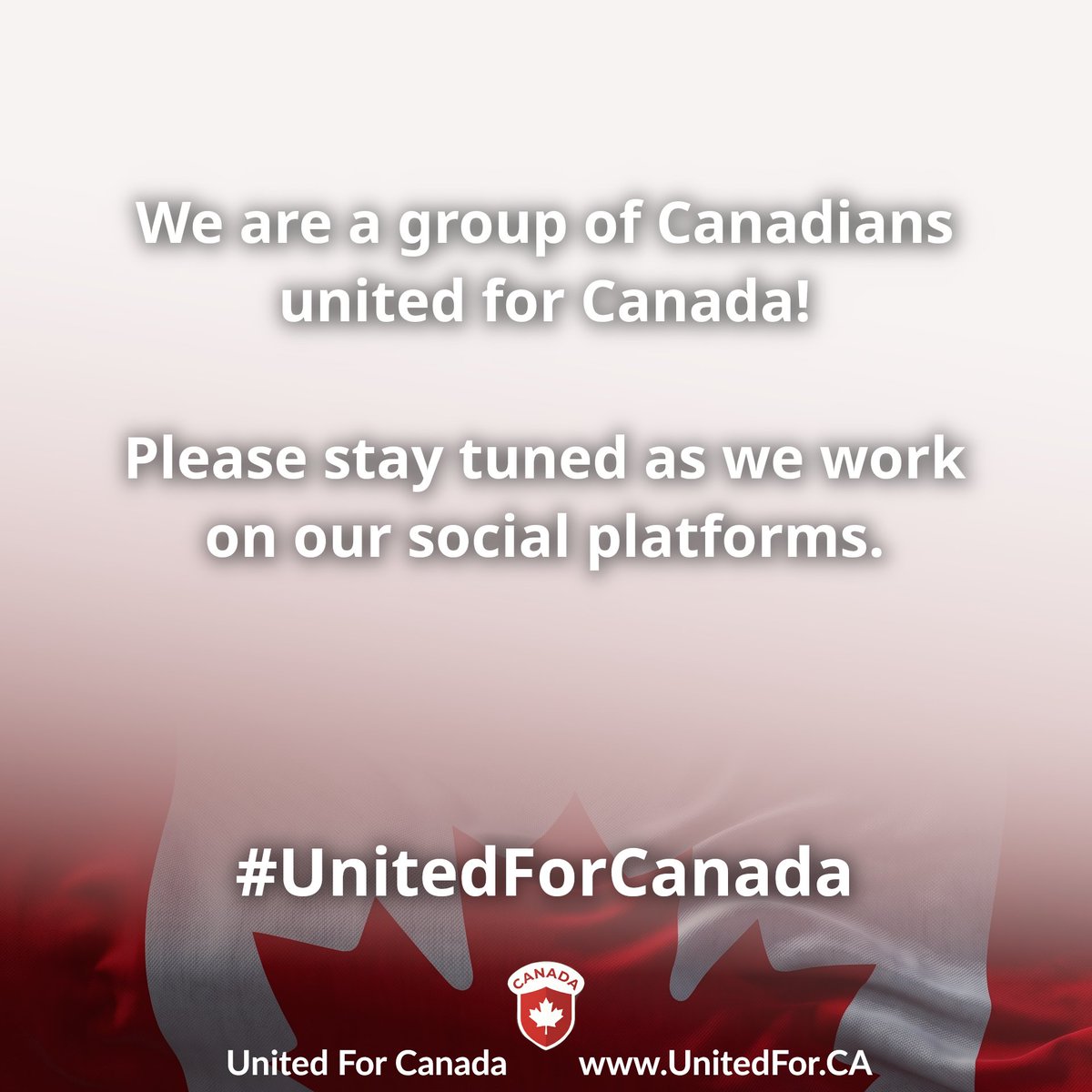 UnitedFor.CA 🇨🇦 tweet media