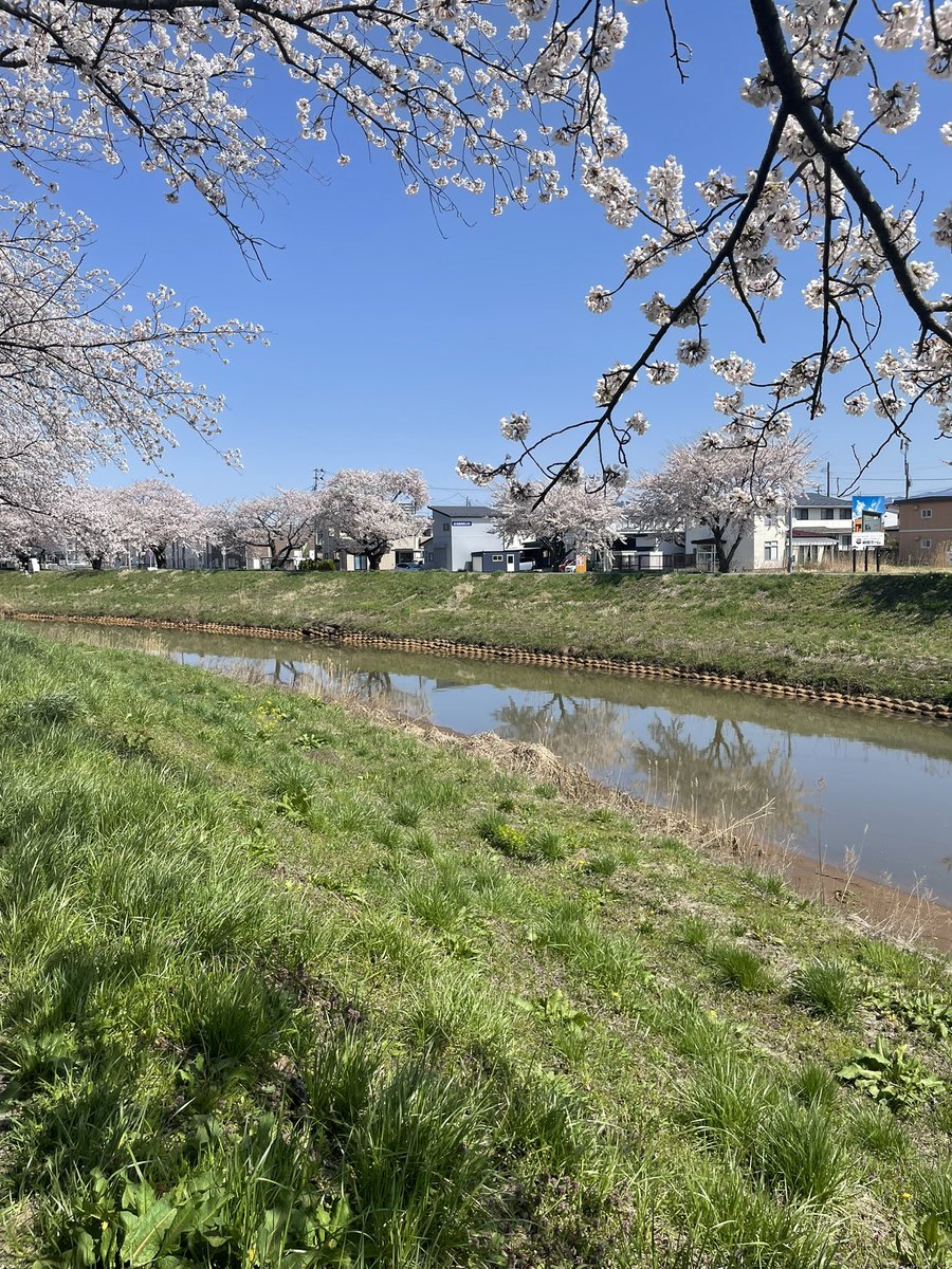 まーBOU tweet media