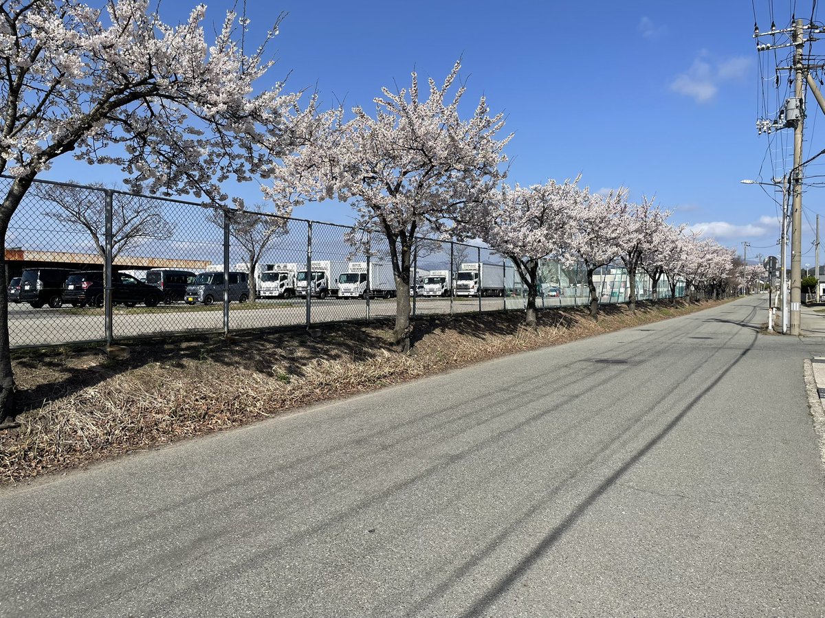 まーBOU tweet media