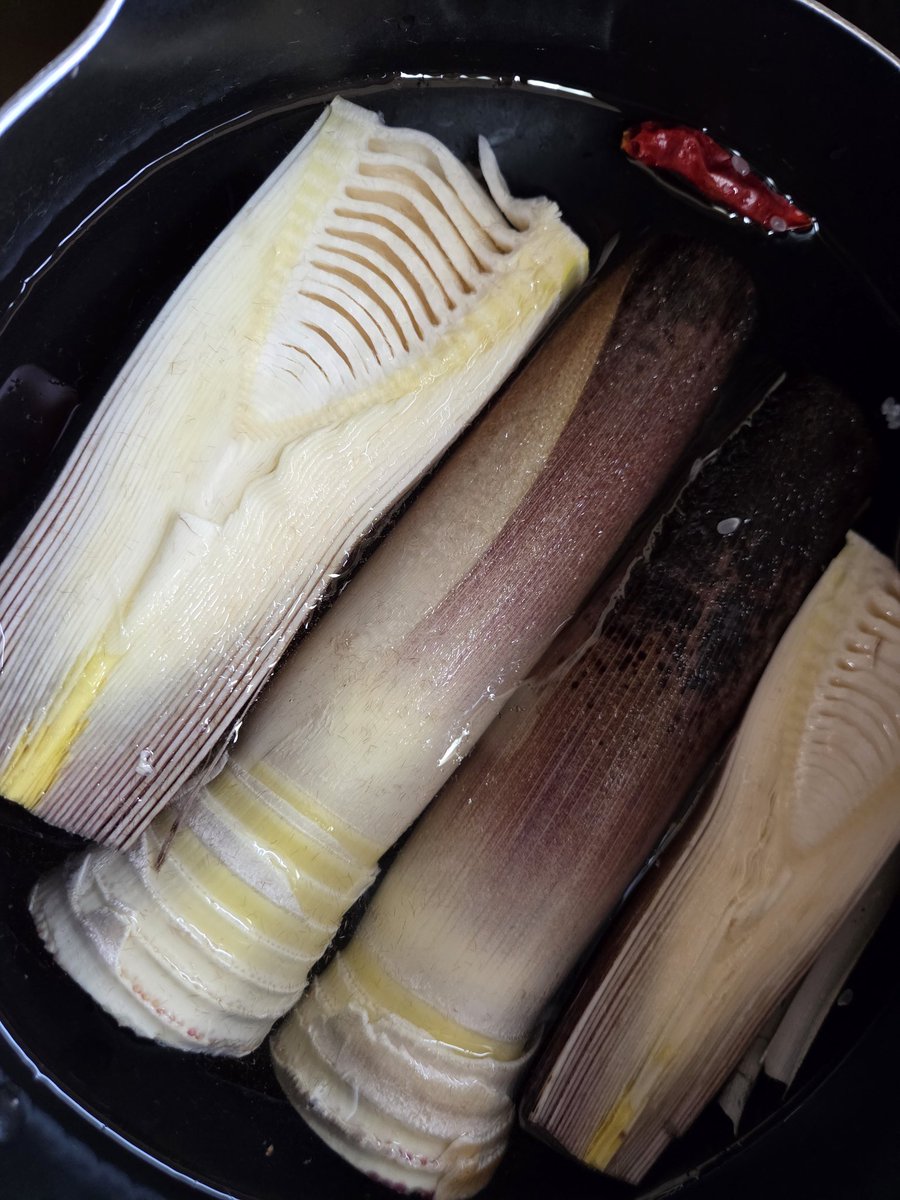 Strange_lucy tweet media