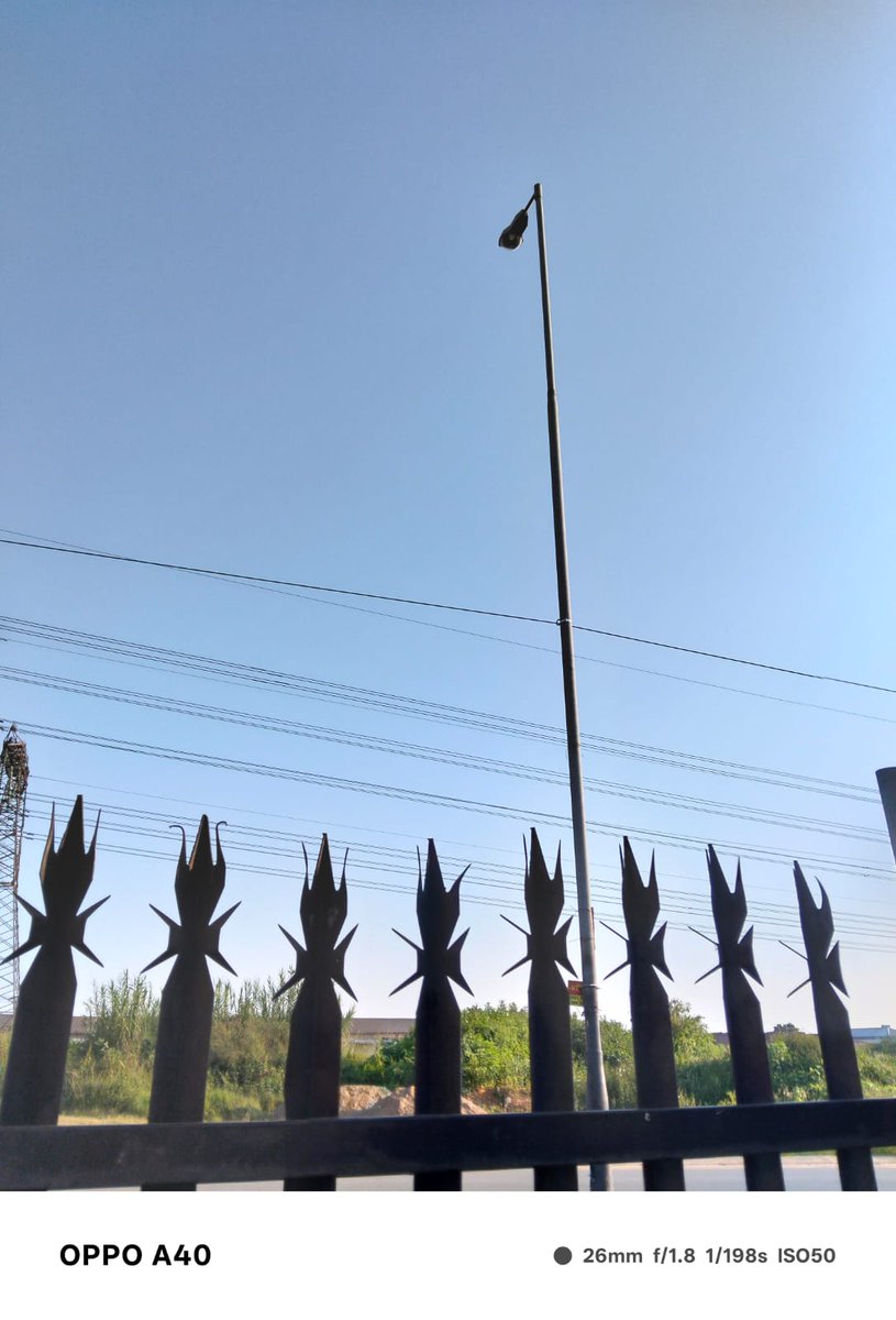 Legasa Butler Mollo tweet media