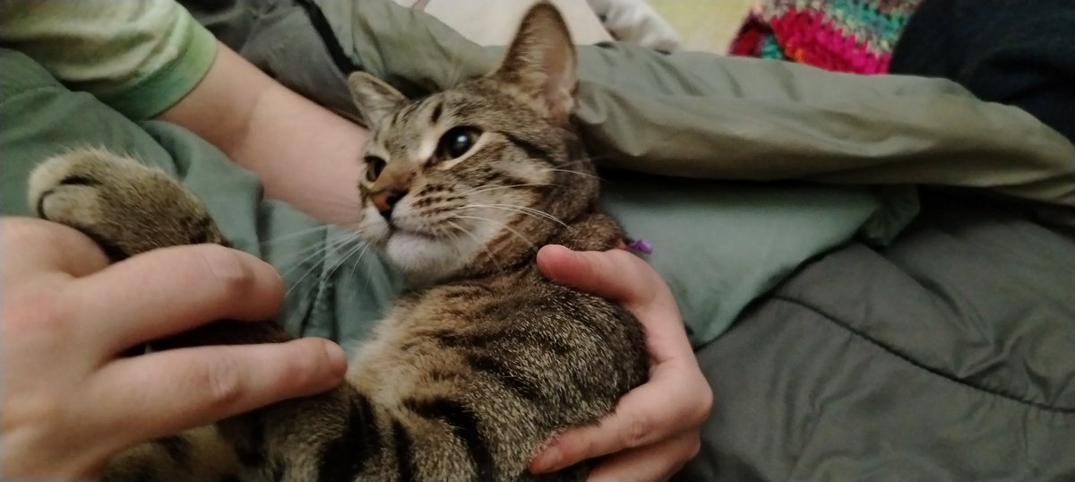 Lux Hunter. Мята, перец и сода.🕊️☮️💟🏳️🌈 tweet media