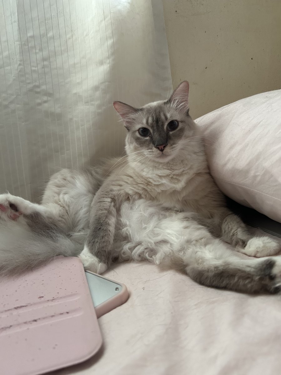 yemmeow's tweet image. Tak sopan la Cantik