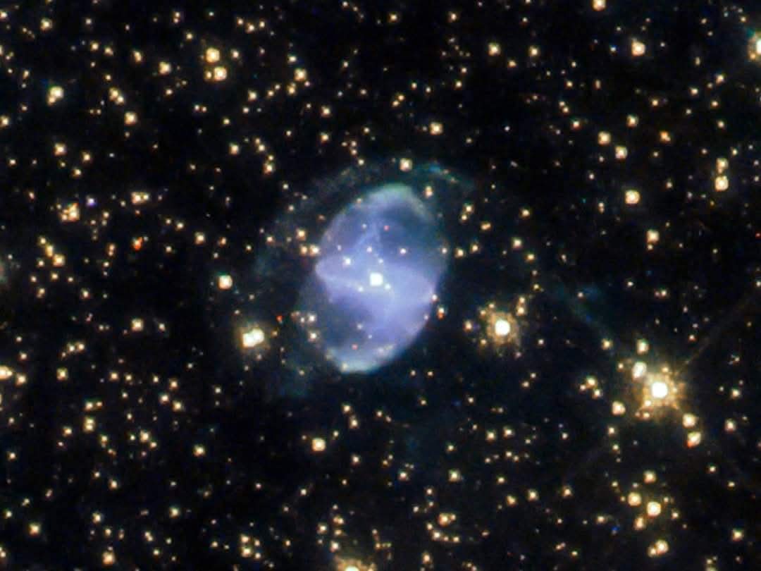 ESO 455-10 UNA DELICATA NEBULOSA PLANETARIA RIPRESA DA HUBBLE 

Guardate che meraviglia questa ripresa del Telescopio Spaziale Hubble, che ritrae la Nebulosa Planetaria ESO 455-10, situata nella costellazione dello Scorpione.
Questa gemma cosmica rappresenta il materiale di