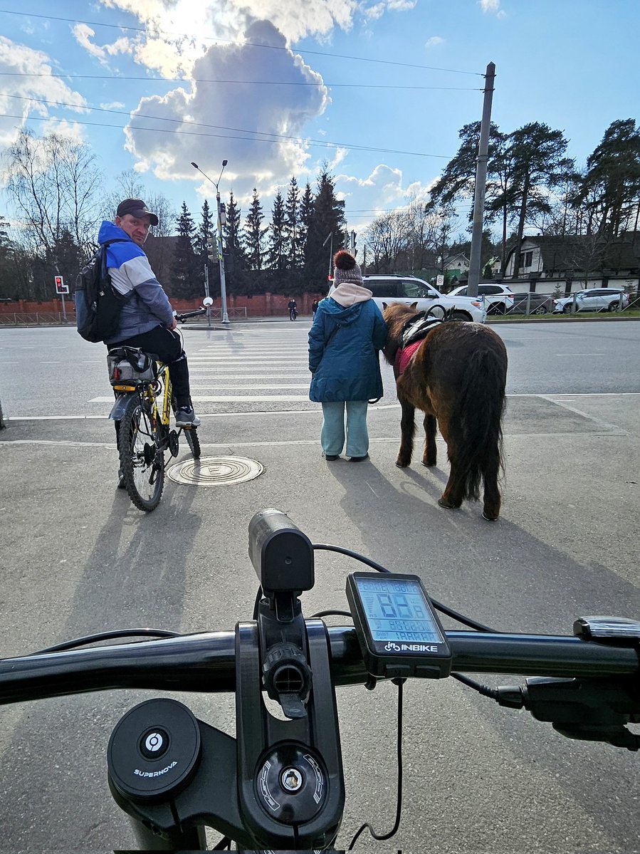 Ребилдол tweet media