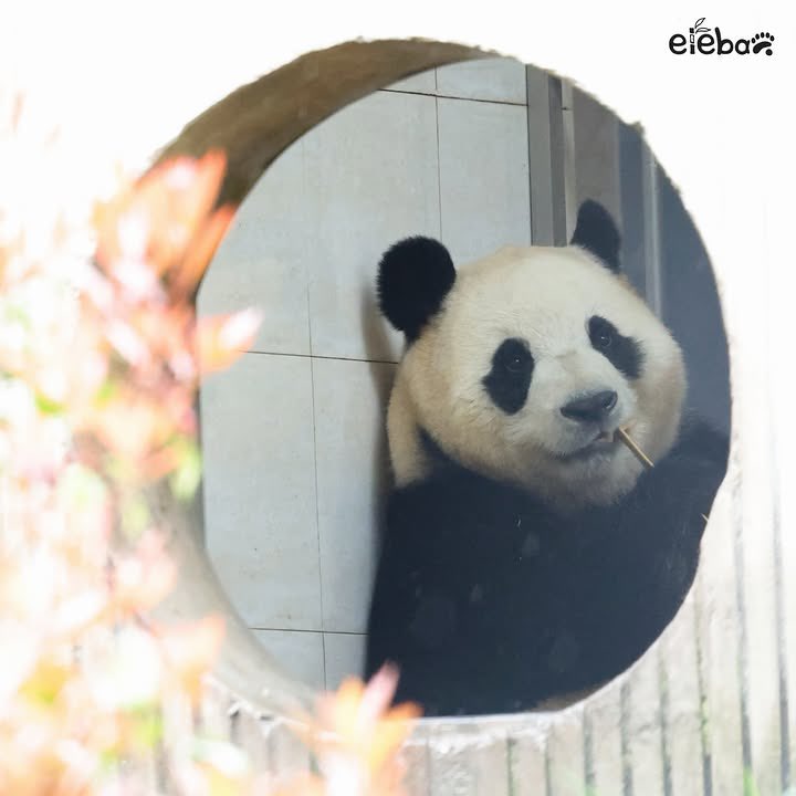 밥 먹고 이쑤시는 사람같음 ㅋㅋㅋㅋㅋㅋㅋㅋㅋㅋㅋㅋㅋ