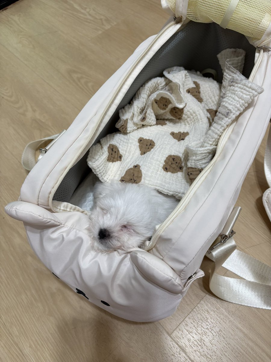 en εїɞ tweet media