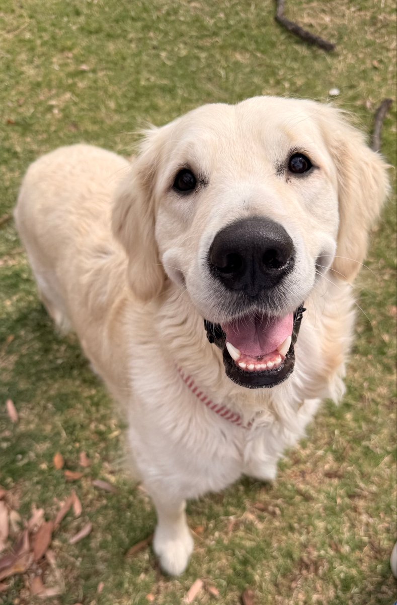 Tyler Bowyer tweet media