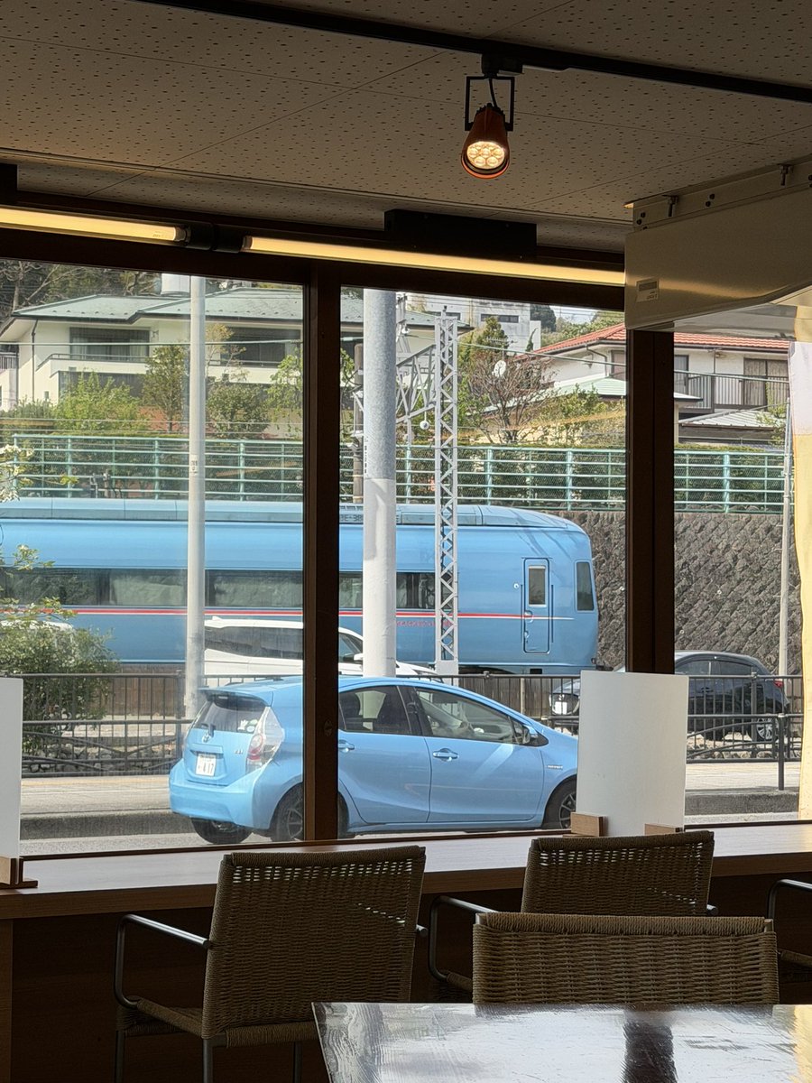 シーガル tweet media
