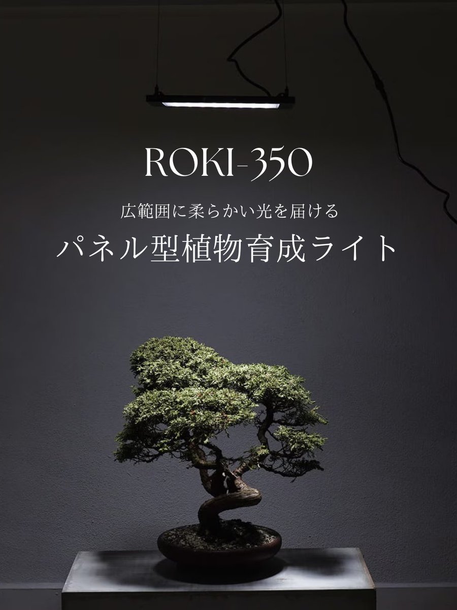barrel_co_ltd's tweet image. 広範囲をやさしく照らす、パネル型の植物育成ライト。

面で光を届ける設計により、葉焼けを抑えながら植物の光合成をサポートします。

薄型で棚やラックにも設置しやすく、防水仕様のため水やり時も安心。

#BARREL #観葉植物 #インテリアグリーン #植物のある暮らし
