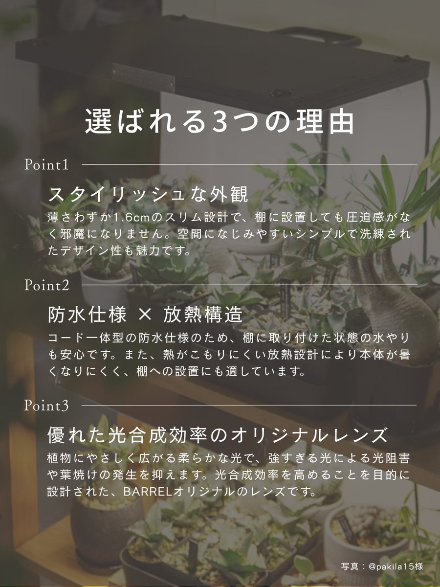 barrel_co_ltd's tweet image. 広範囲をやさしく照らす、パネル型の植物育成ライト。

面で光を届ける設計により、葉焼けを抑えながら植物の光合成をサポートします。

薄型で棚やラックにも設置しやすく、防水仕様のため水やり時も安心。

#BARREL #観葉植物 #インテリアグリーン #植物のある暮らし