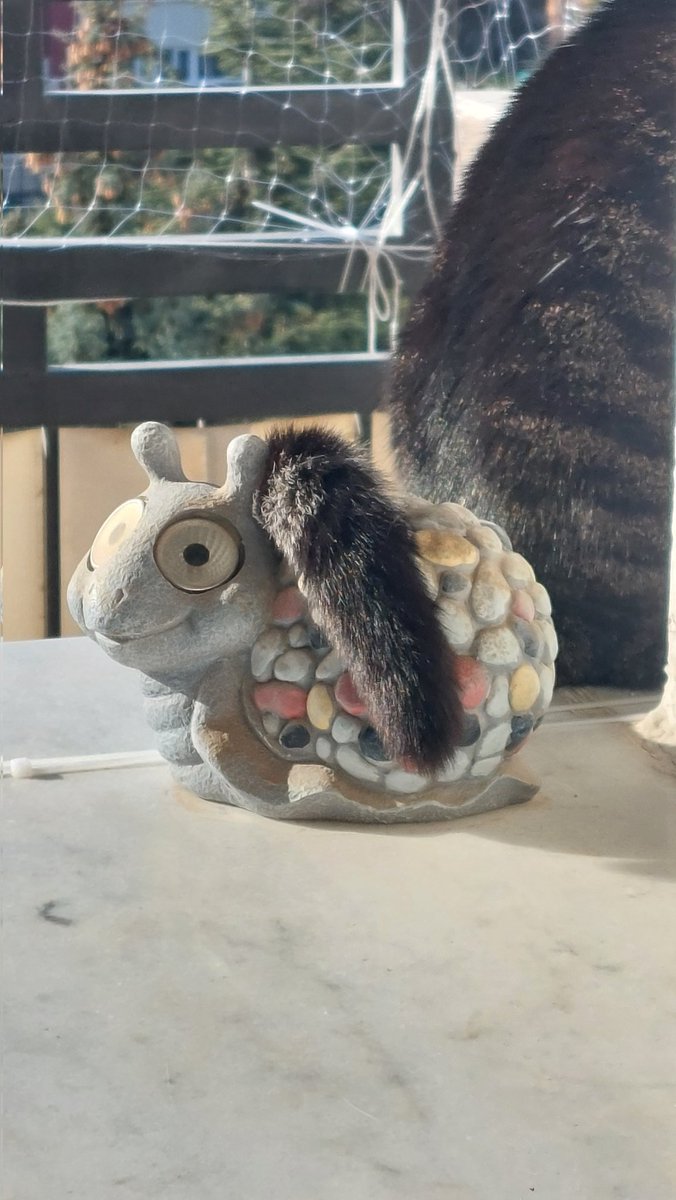 Lagrima Hacioglu tweet media