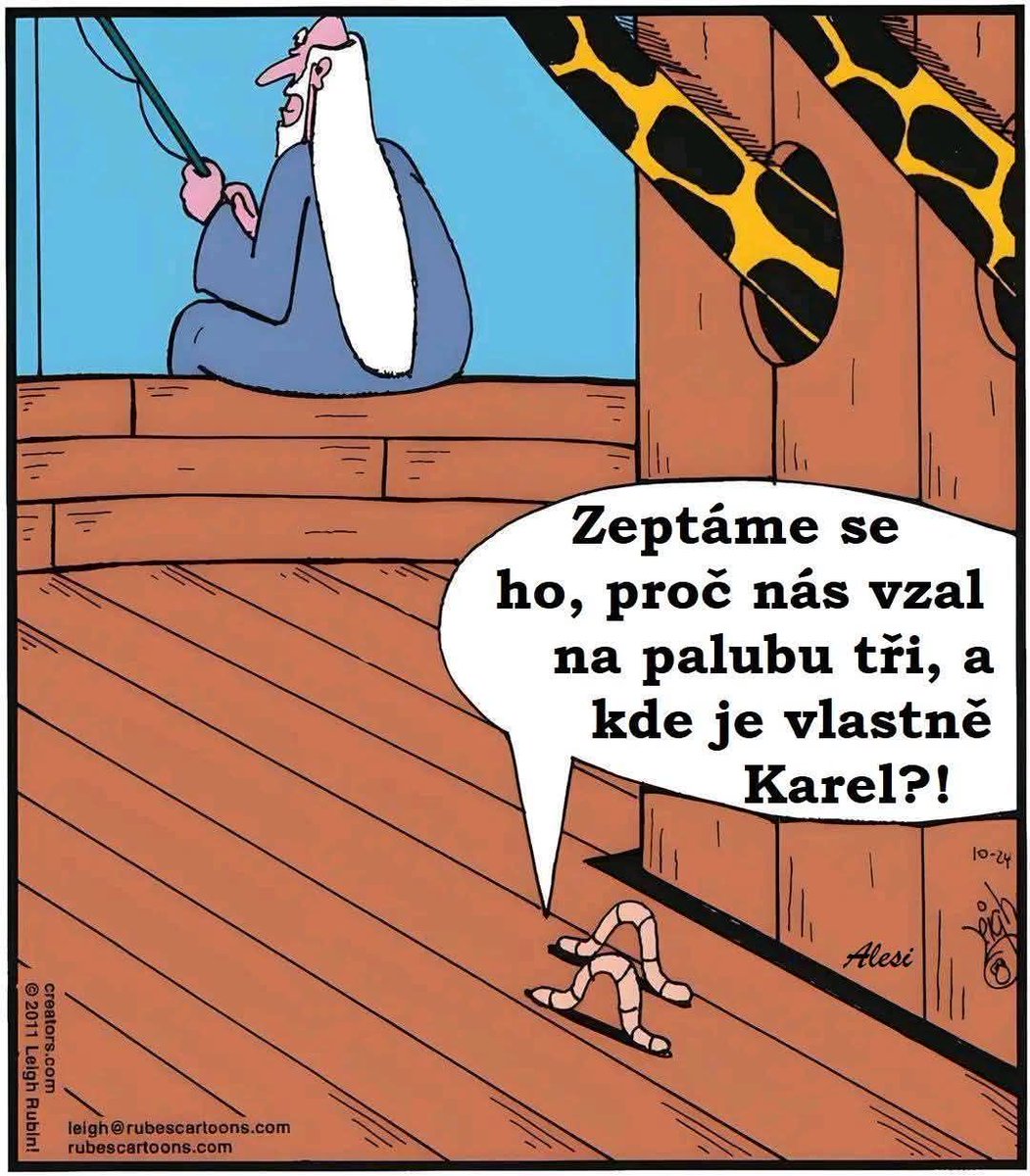 Michele Dvořáků tweet media