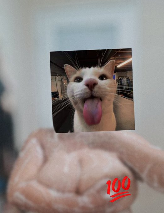 汤圆圆 tweet media