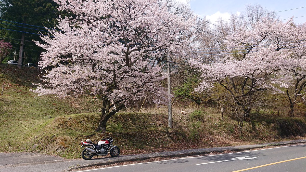 daisyarin20021's tweet image. 寄り道して帰ってる。

#CB1000SF  #SC30