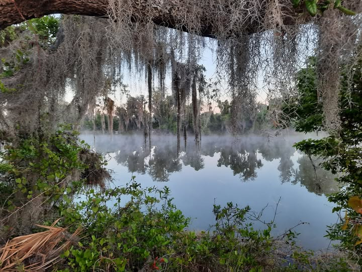 𝐬𝐭𝐞𝐯𝐞𝐧 𝐠𝐢𝐚𝐫𝐝𝐢𝐧𝐢 tweet media