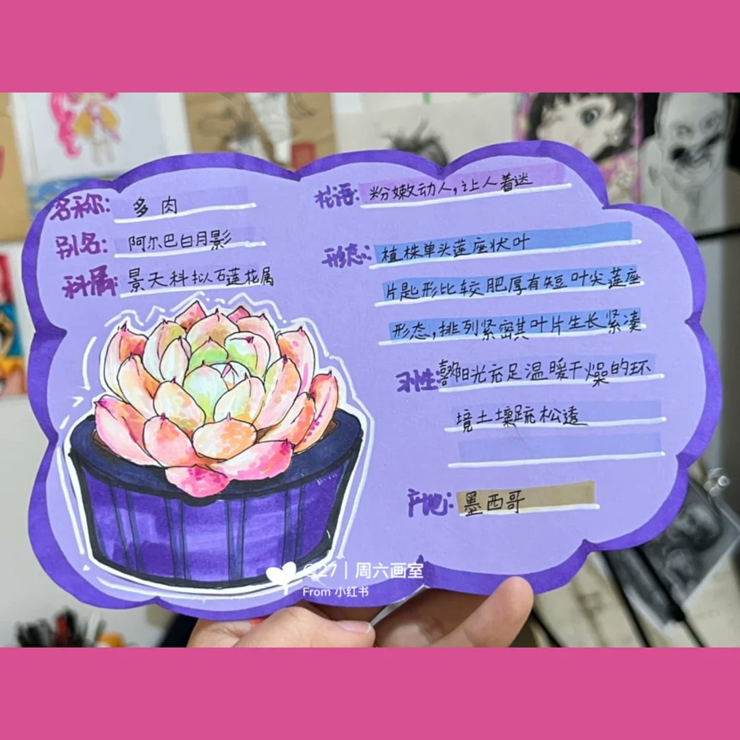 SaIvobar Vietlii tweet media